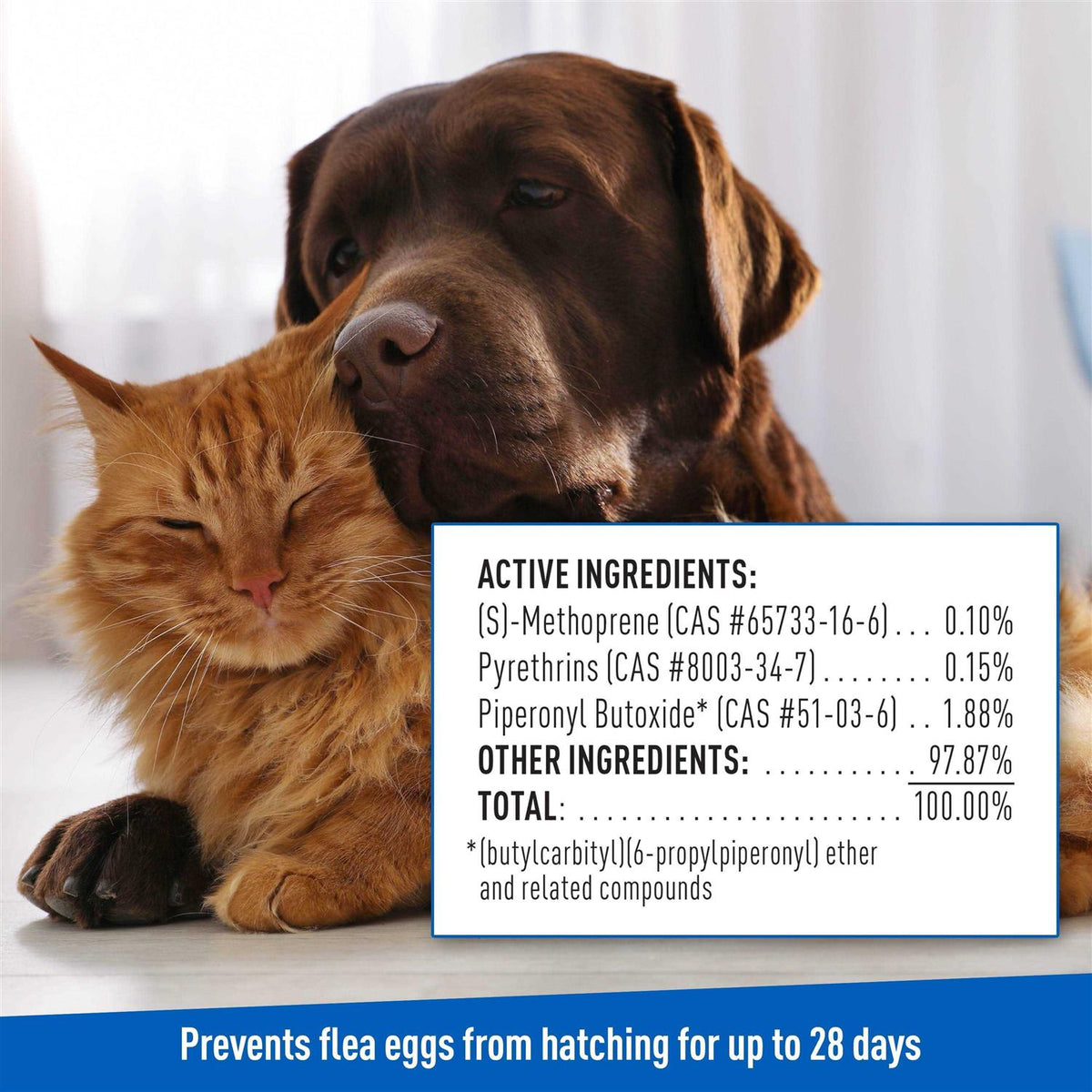 Flea Tick Shampoo F12724