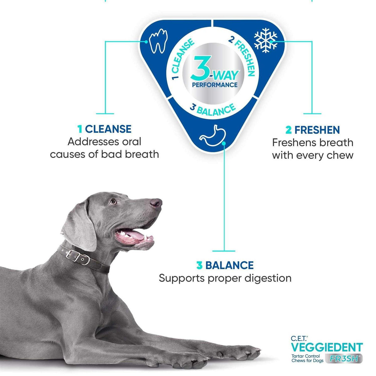 VeggieDent Tartar Control Chews for Dogs G7619