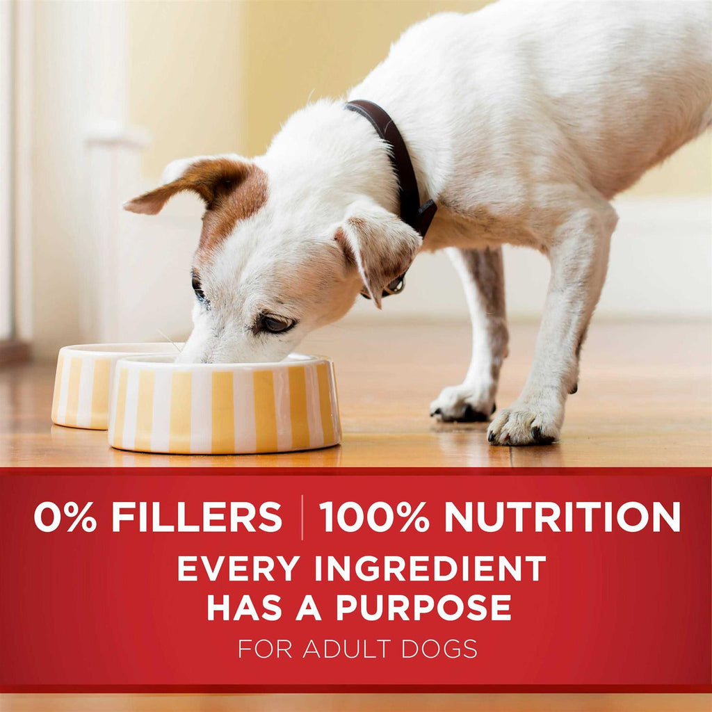 Chicken and Brown Rice Wet Dog Food R494274