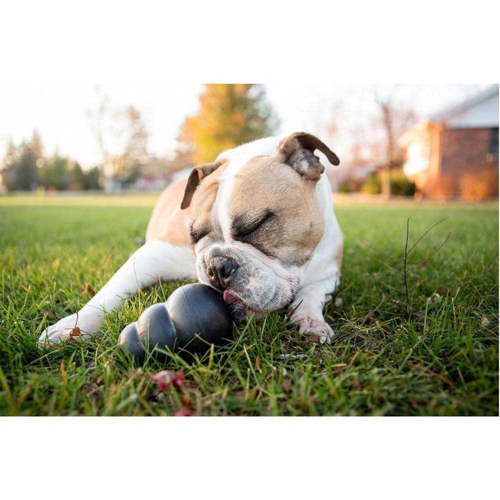 KONG Dog Toy D1684