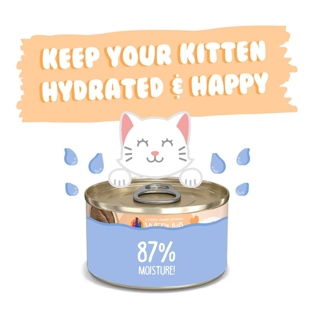 Kitten Tuna & Salmon Puree Cat Food J978074