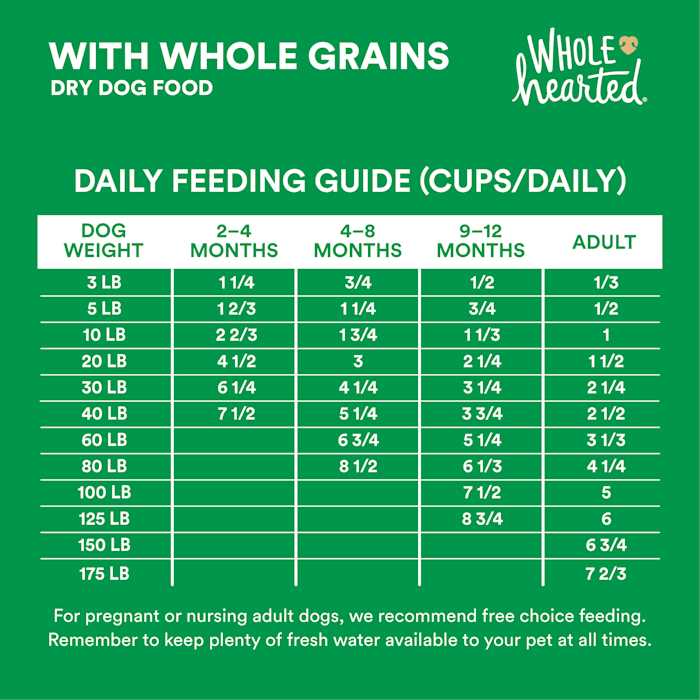 Lamb & Brown Rice Recipe Dry Dog Food R940020