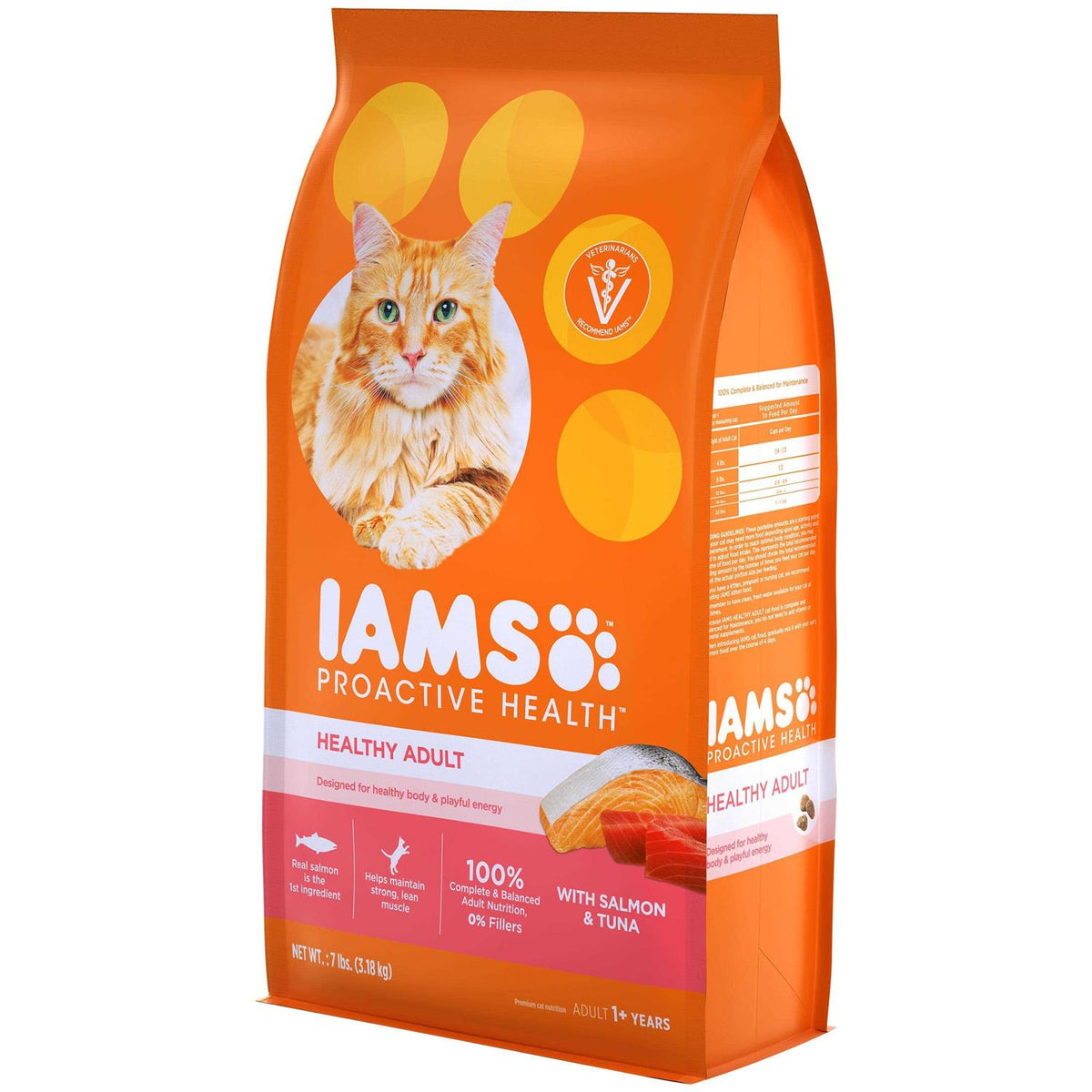 Salmon Adult Dry Cat Food F4094