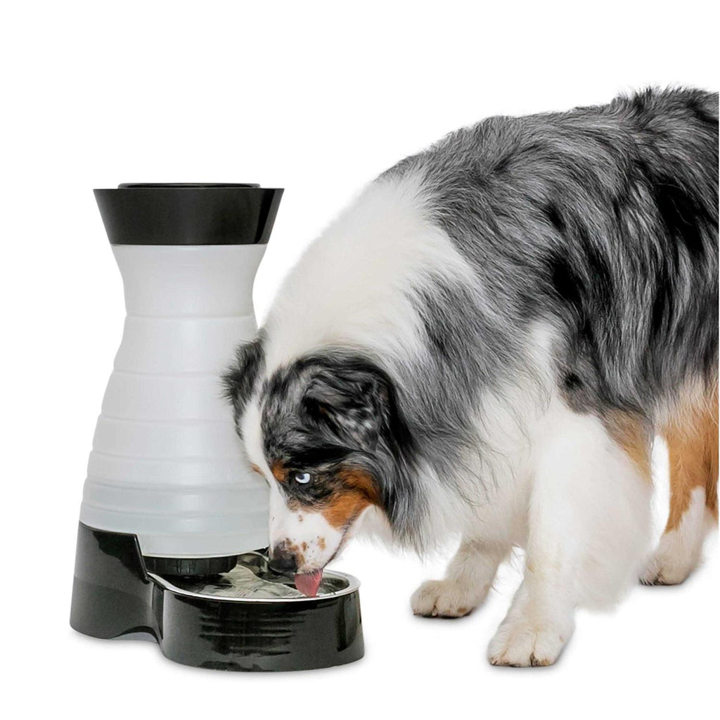 Healthy Pet Water Station R1656