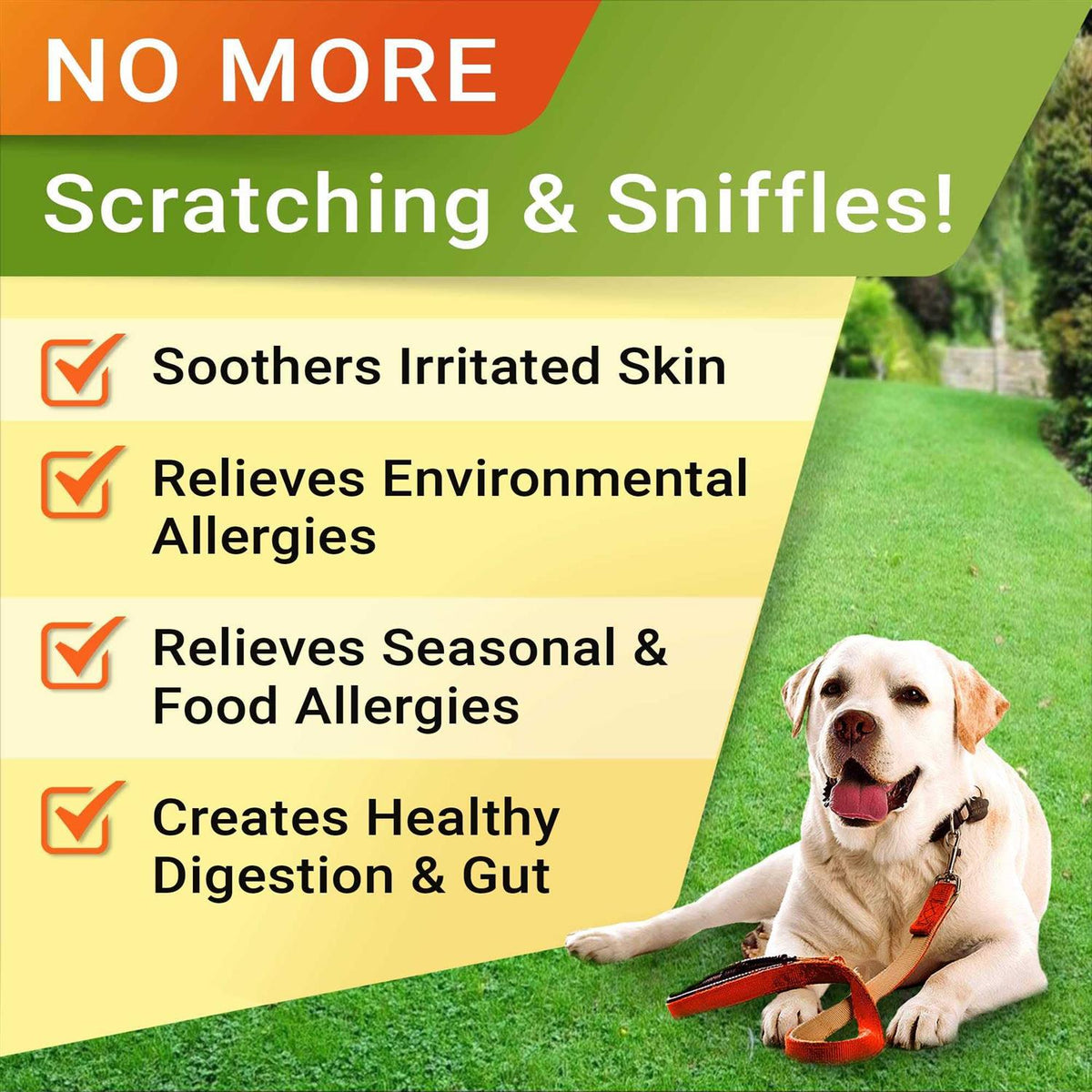 Allergy Relief Immune Chews U713
