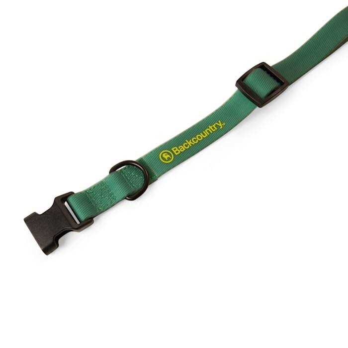 Dog Collar V582681