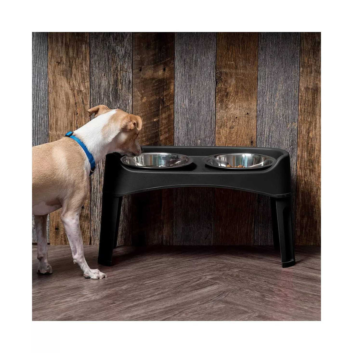 12 inch Elevated Dog Bowls with 2 Qt Stainless Steel Bowls N16991
