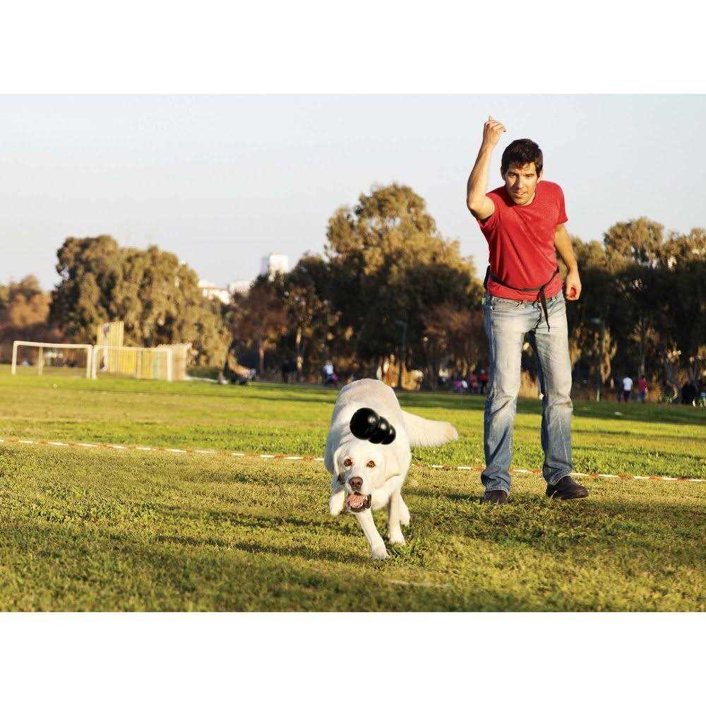 KONG Dog Toy D1684