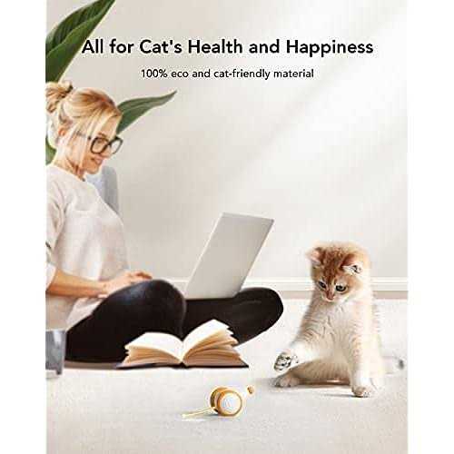Interactive Cat Toys with LED Lights N714004