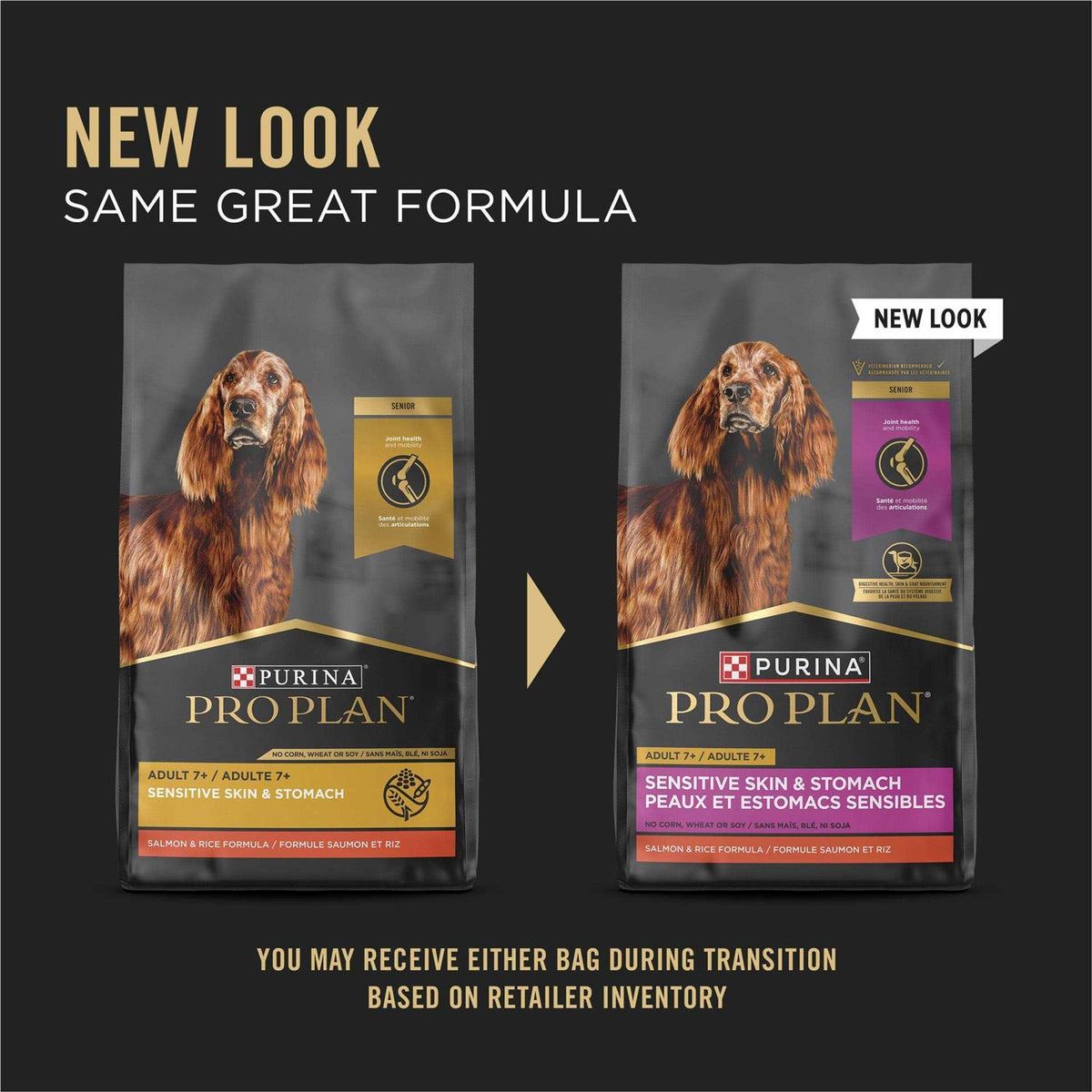 Salmon & Rice Senior Dry Dog Food I64126