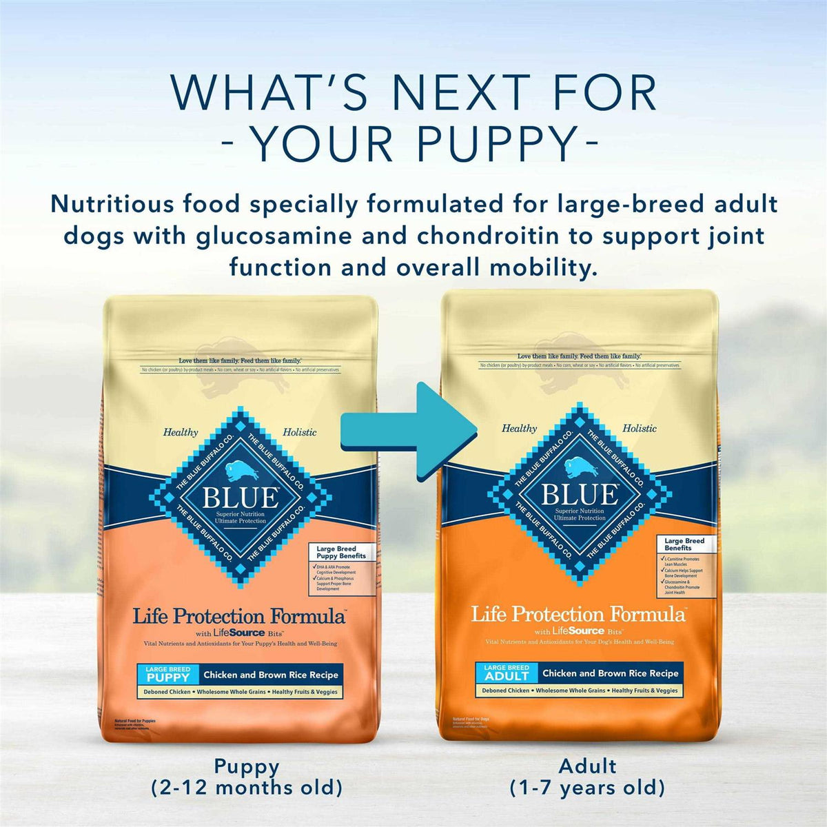 Large Breed Puppy Chicken & Brown Rice Dry Dog Food P36964