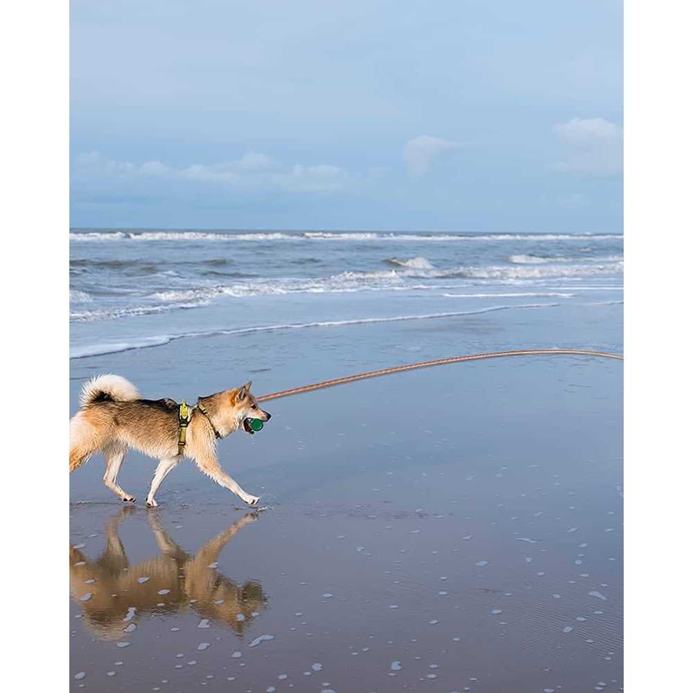Long Dog Leash Reflective 10FT/16FT/30FT/50FT/100FT J703