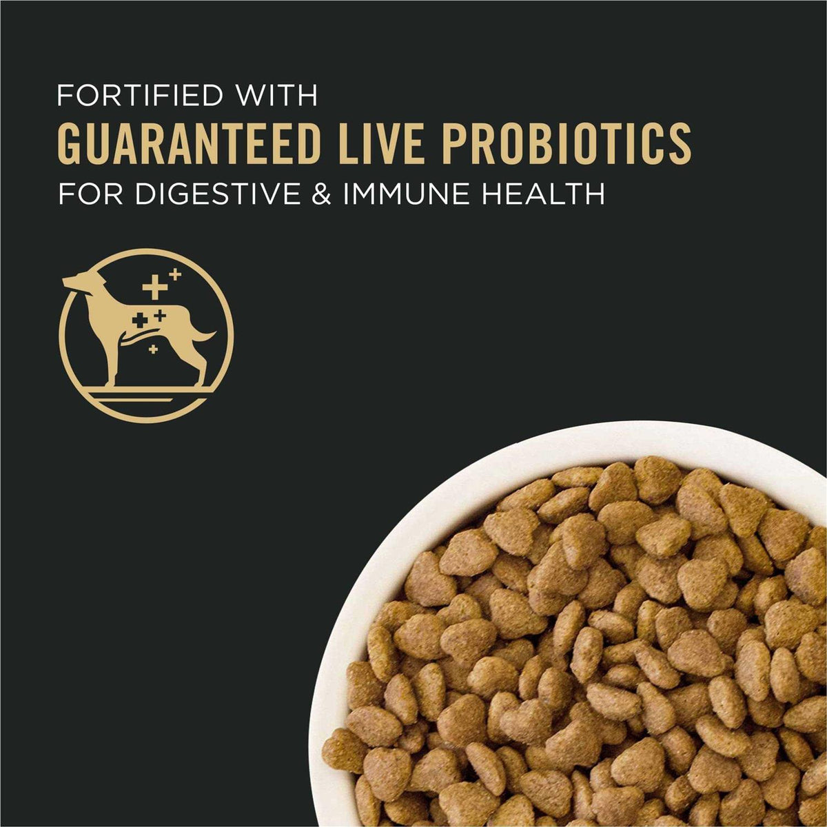 Lamb & Rice Dog Food U994859
