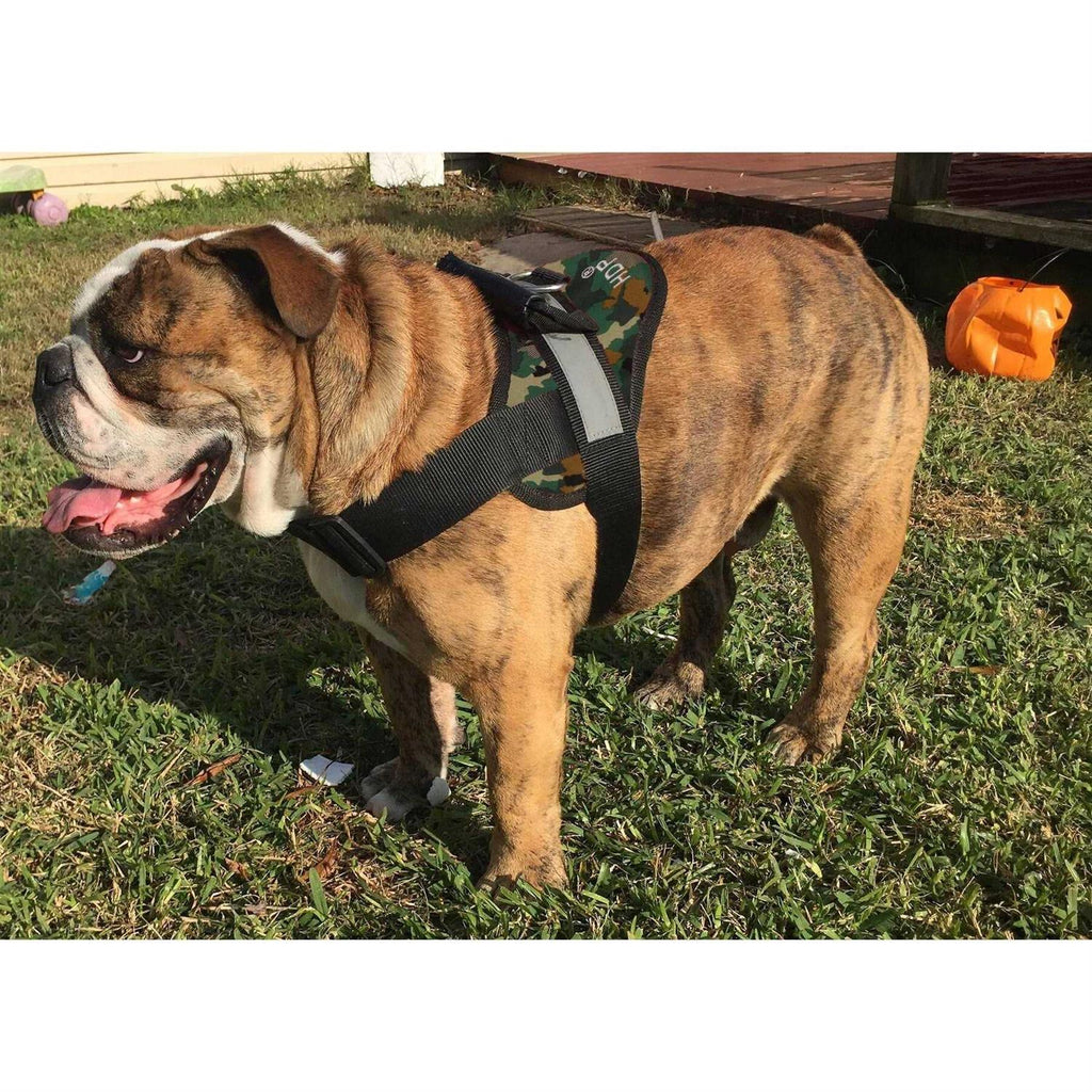 Big Dog Soft No Pull Harness D586
