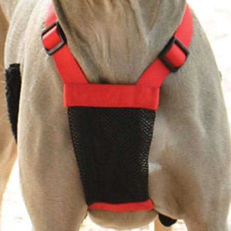 Mesh Non Pull Dog Harness J487