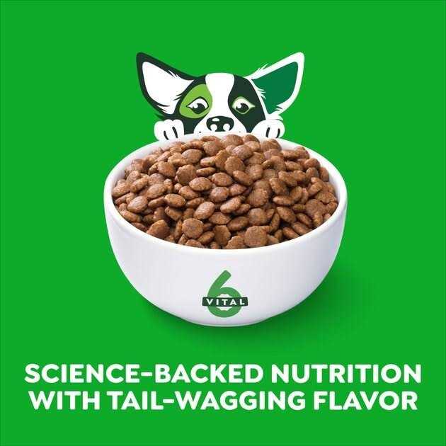 High Protein Real Chicken & Rice Dry Dog Food B183