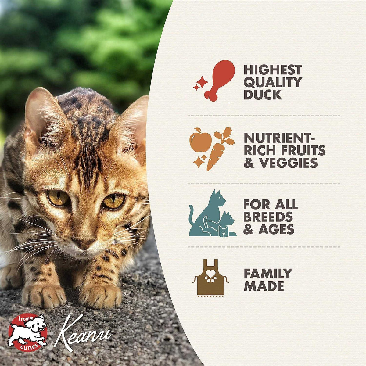 Four Star Cat Food Q8250