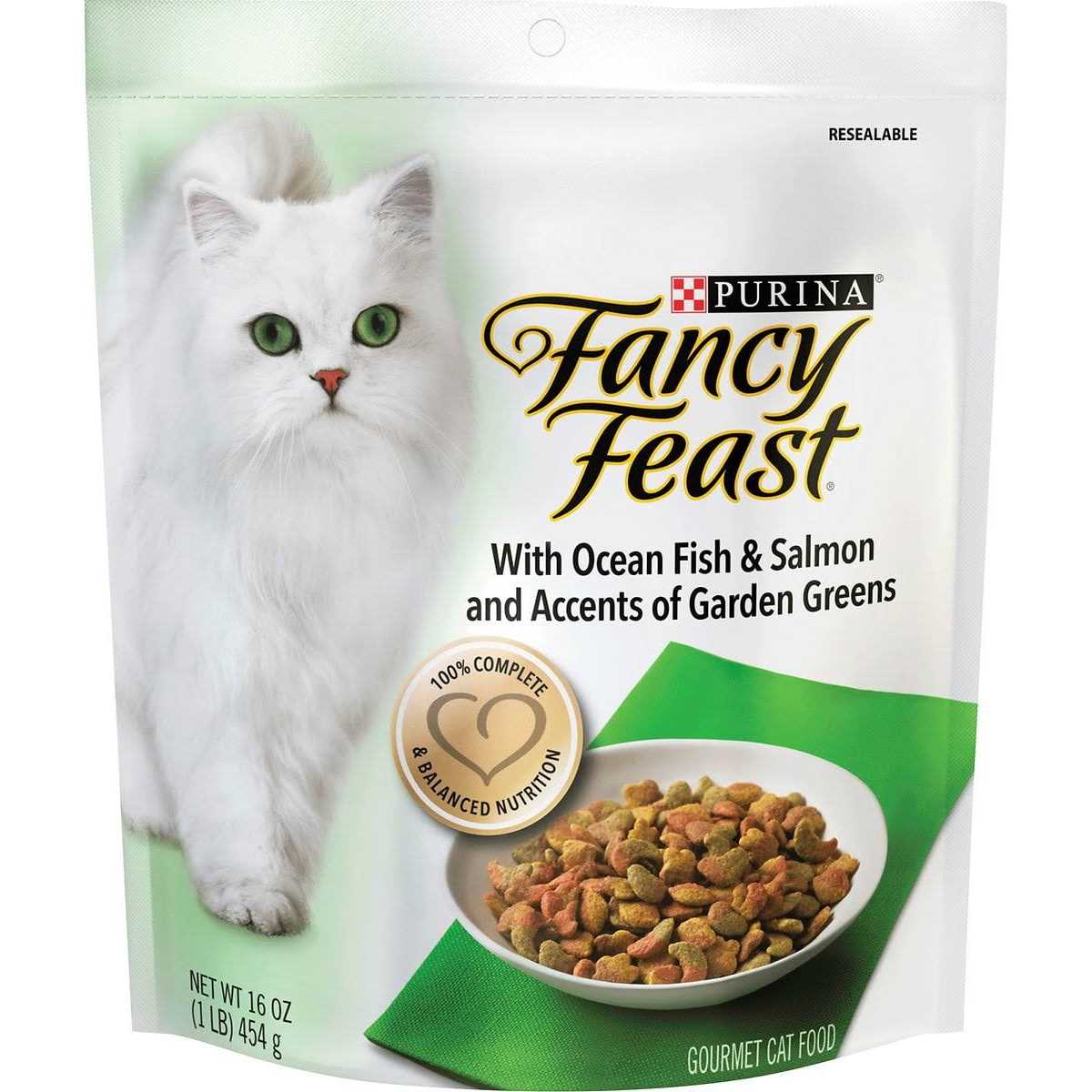 Ocean Fish and Salmon Dry Cat Food X38004