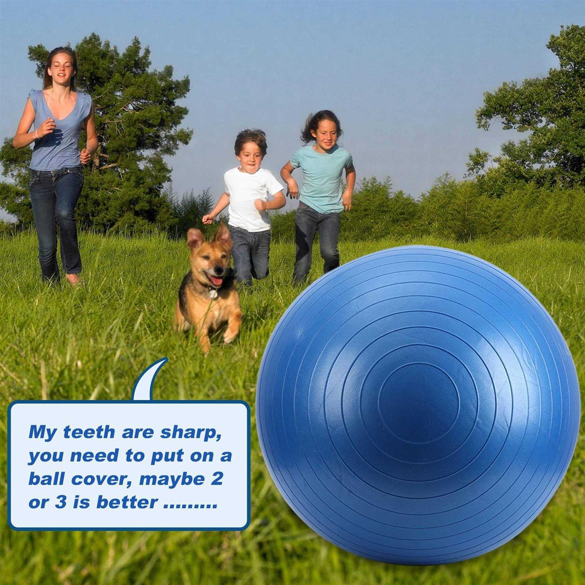 Horse Herding Ball 40 Anti-Burst Giant Soccer Ball Toy I339033