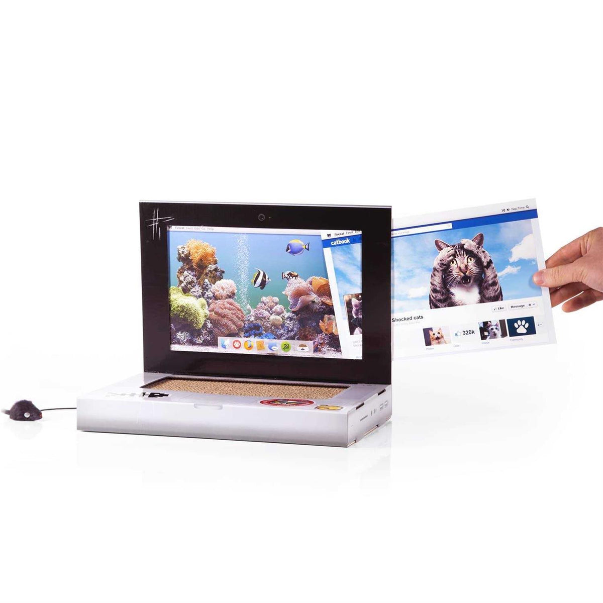 Cat Scratch Laptop I752542