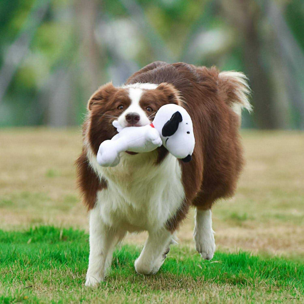 White Plush Dog Toy T392840
