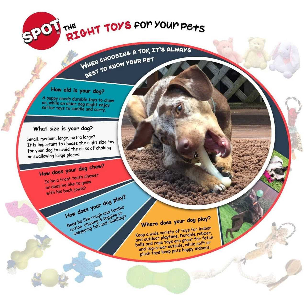 Sensory Ball Dog Toy O756086