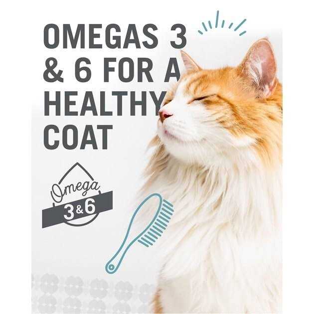 Chicken & Duck Cat Food T20470