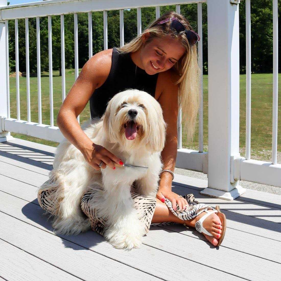 Dog Shedding Comb H7415