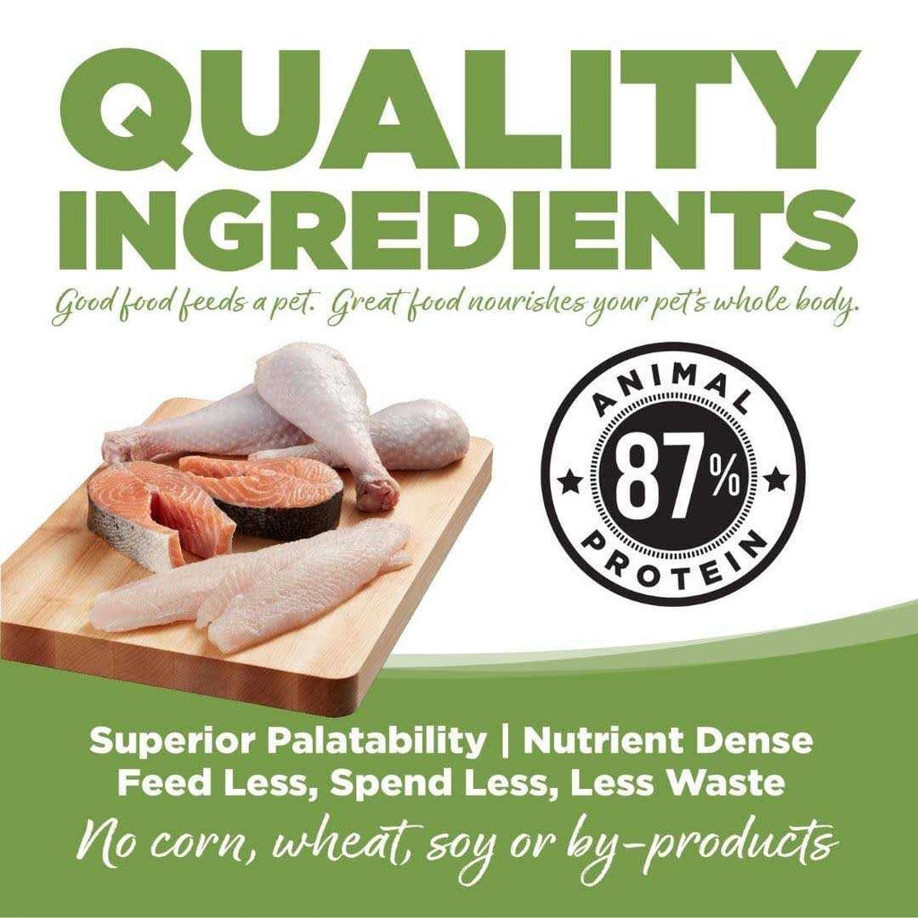 Dry Dog Food F79685