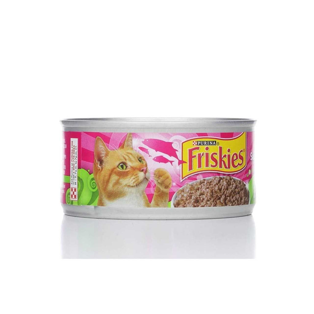 Salmon Pate Wet Cat Food T1670