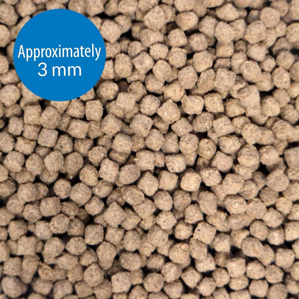 Shrimp Pellets Fish Food B89137