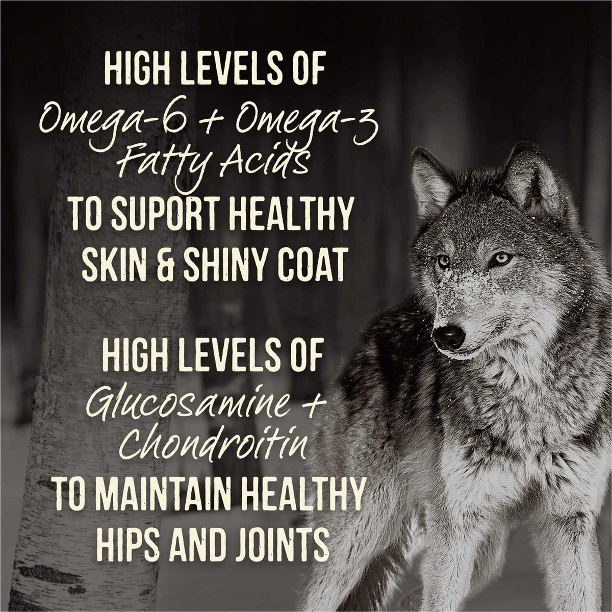 Grain Free Dry Dog Food J2475