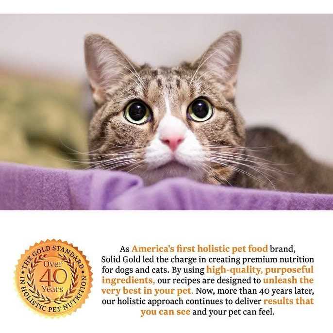 Solid Gold Triple Layer Pate Mousse & Shreds Pumpkin Cat Food Q5384