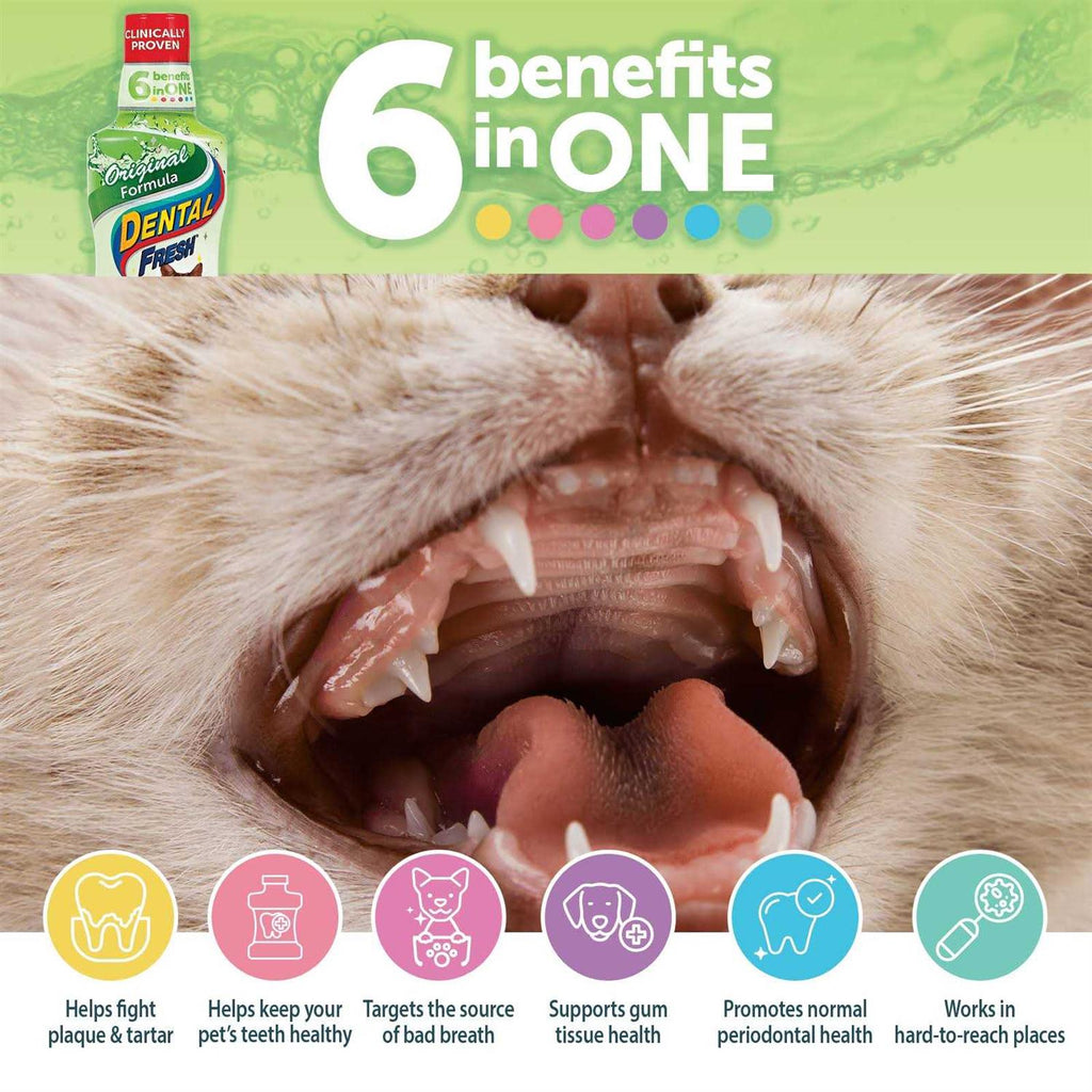 Water Additive for Cats J621