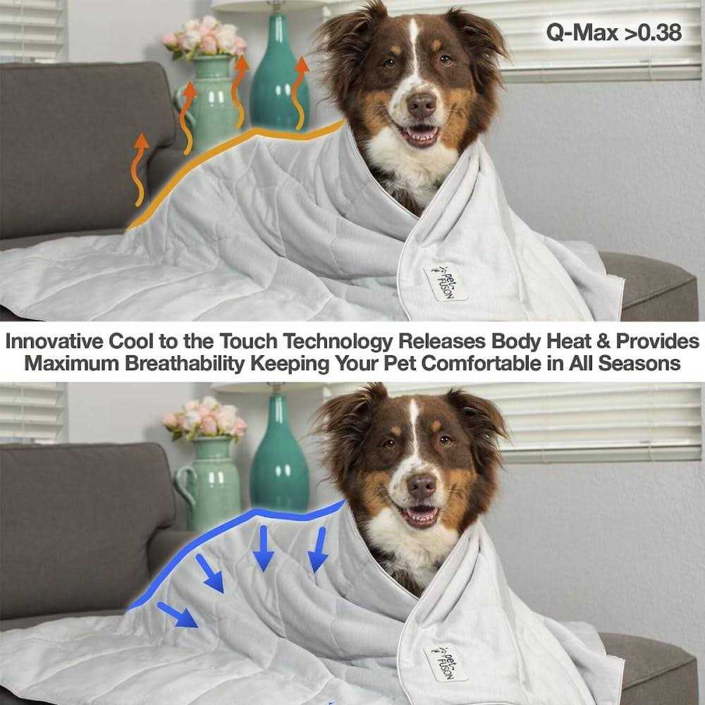 Lightweight Cat and Dog Cooling Blanket P300