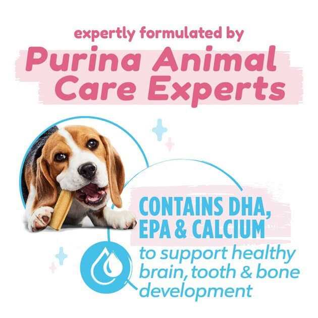Chicken Flavored Puppy Dental Chews U646277