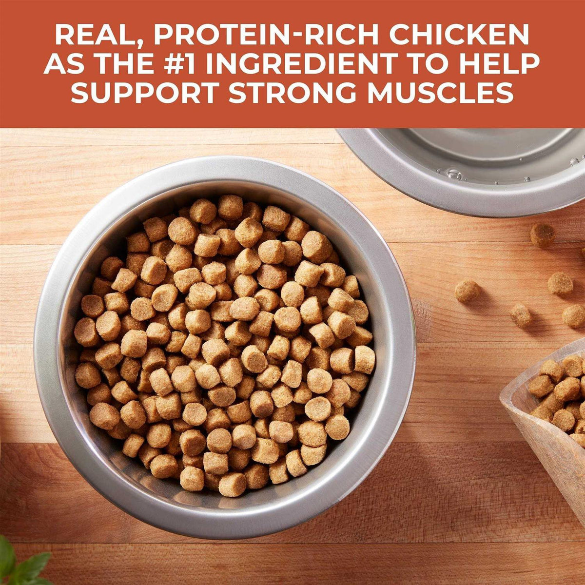 Chicken & Rice Dry Dog Food L145