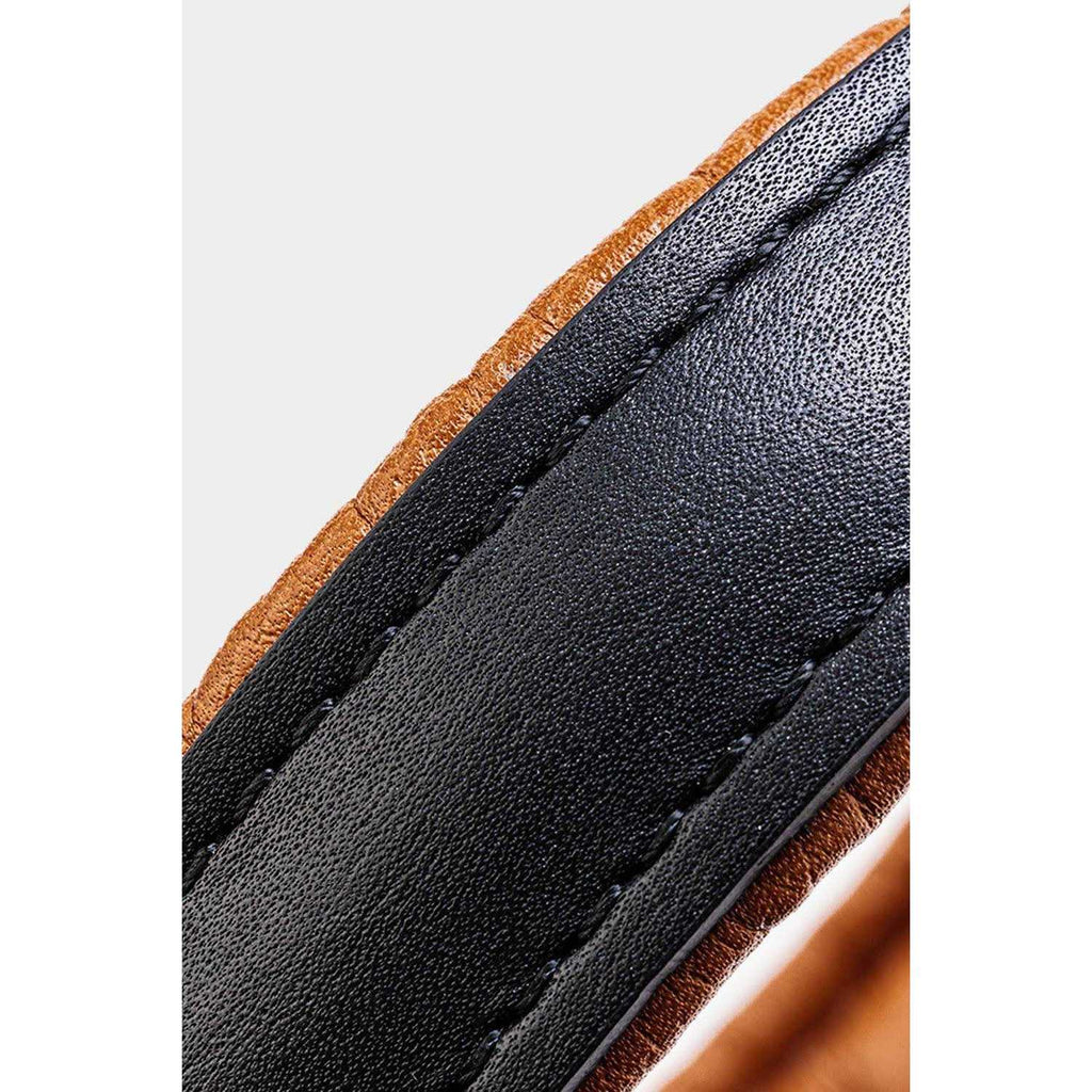 Padded Leather Dog Collar X3471