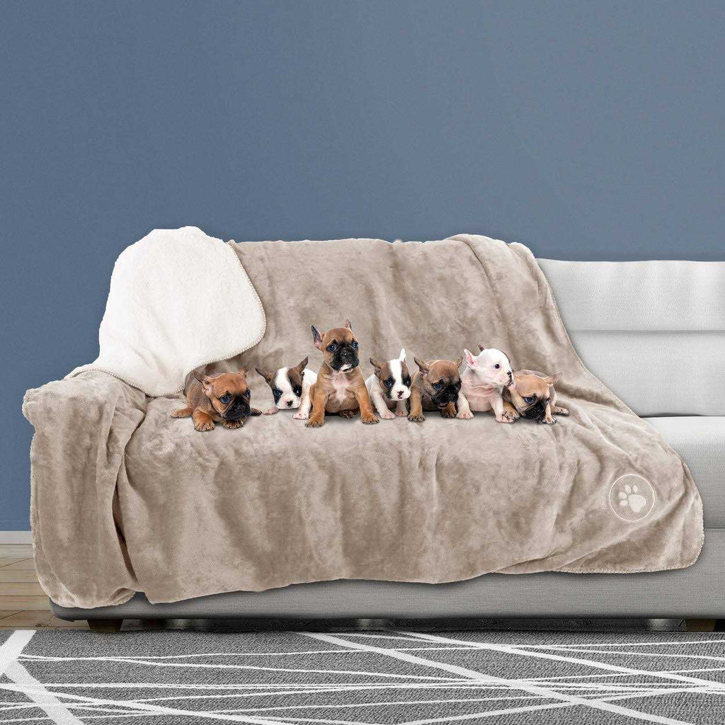 Waterproof Pet Blanket Throw Z841988