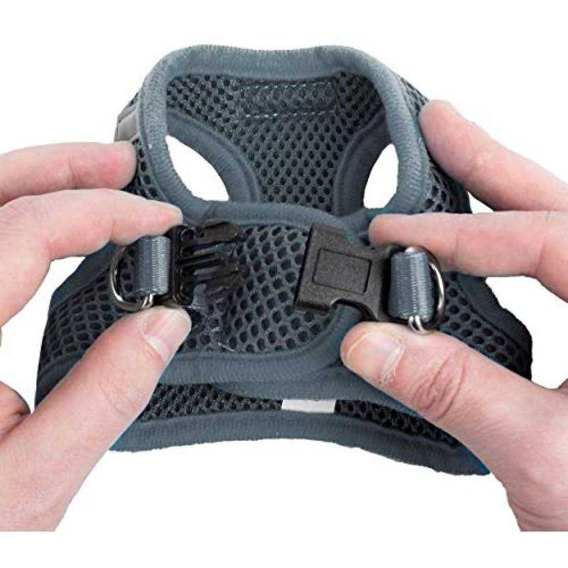 Step in Dog Harness for Small Dogs Z5949