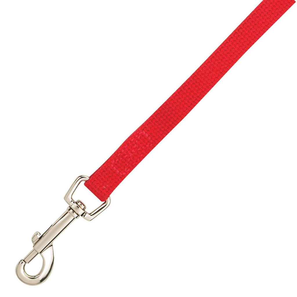 Cotton Web Training Lead Q48616