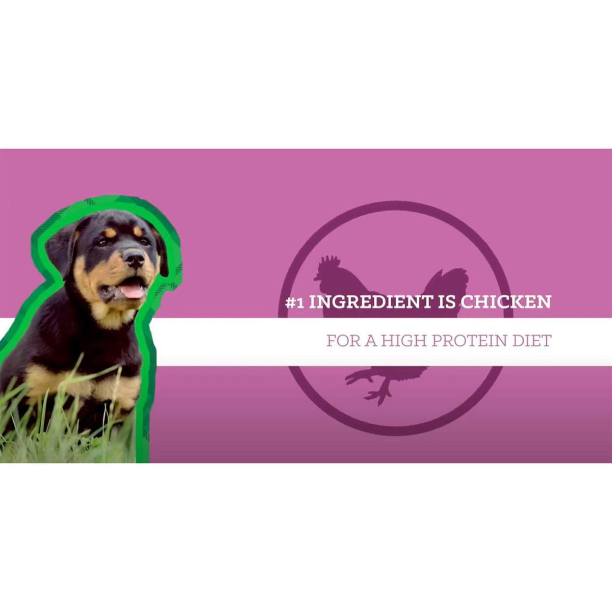 Puppy Large Breed Chicken & Brown Rice L806590