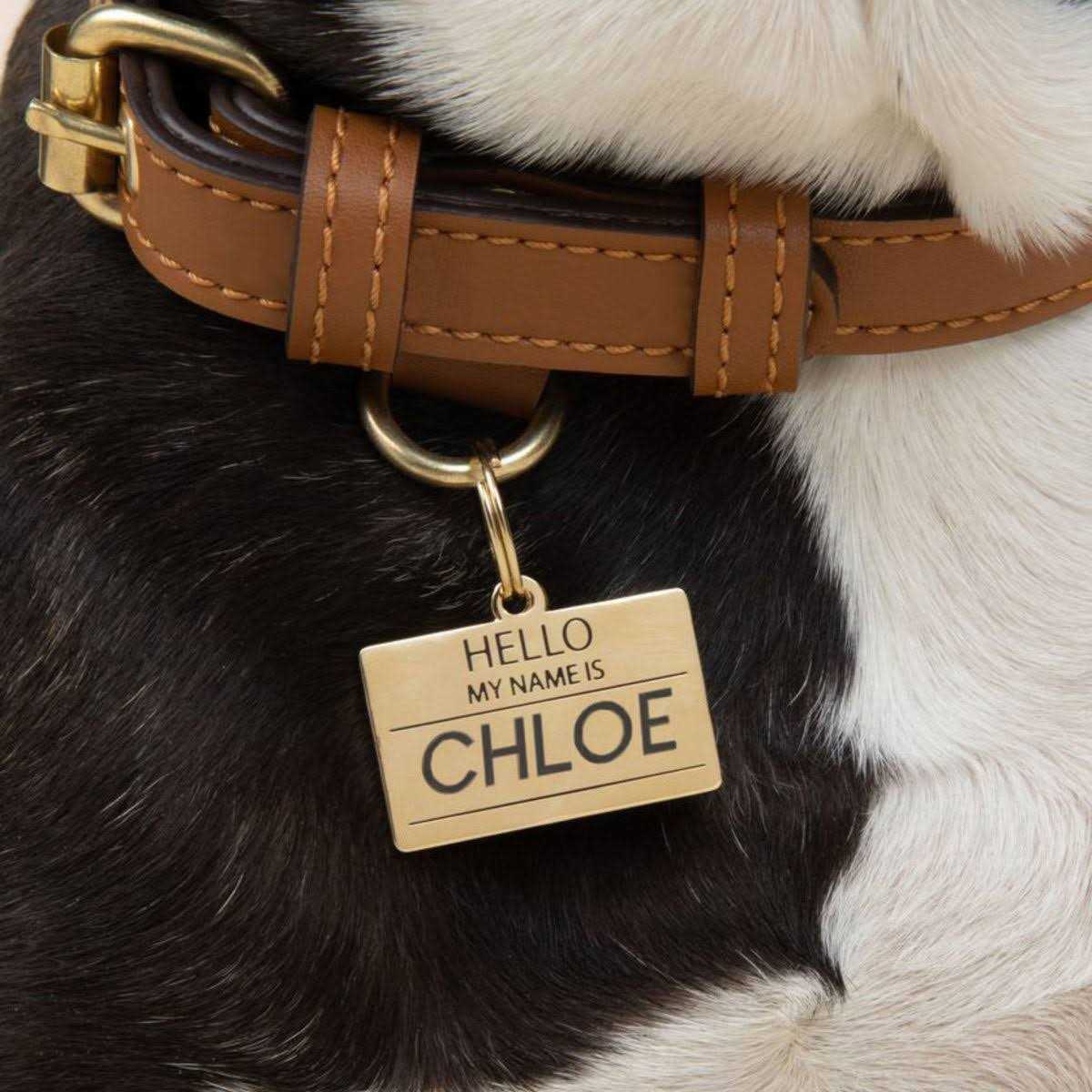 Hello My Name is ID Tag D832194