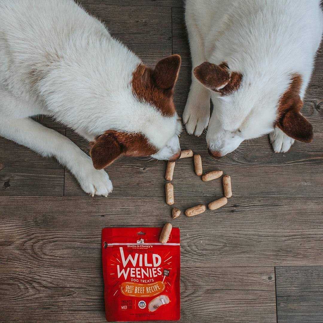 Freeze Dried Dog Treats V146