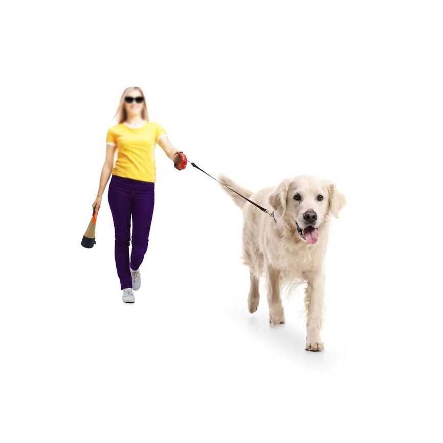 Portable Dog Pooper Scooper U178830