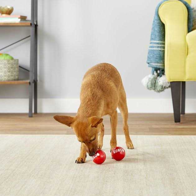 Signature Ball Dog Toy A40049