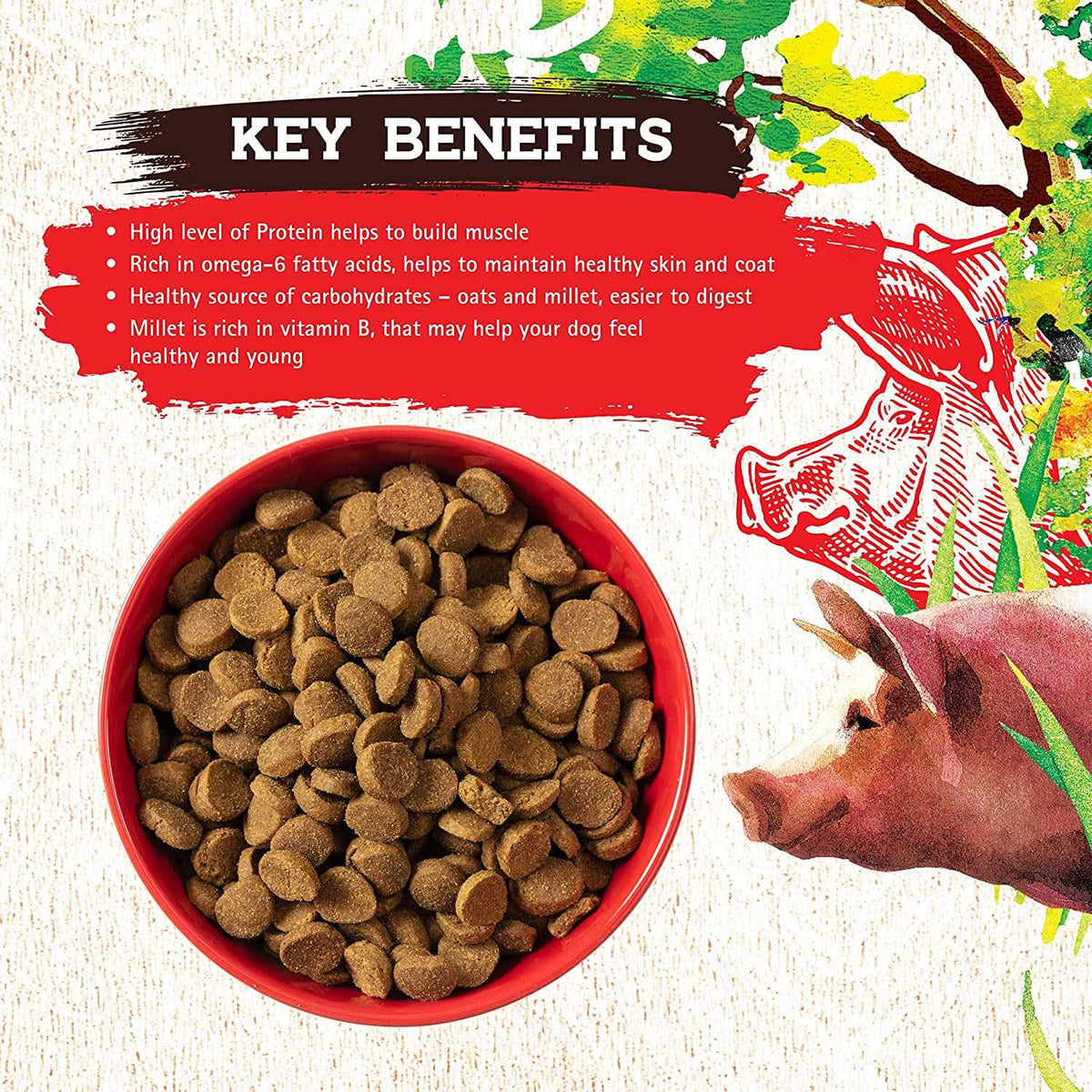 Pork Recipe Dog Food L703