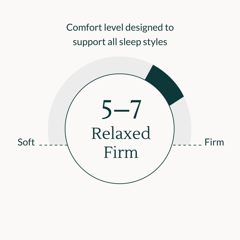 Queen Memory Foam Mattress L859