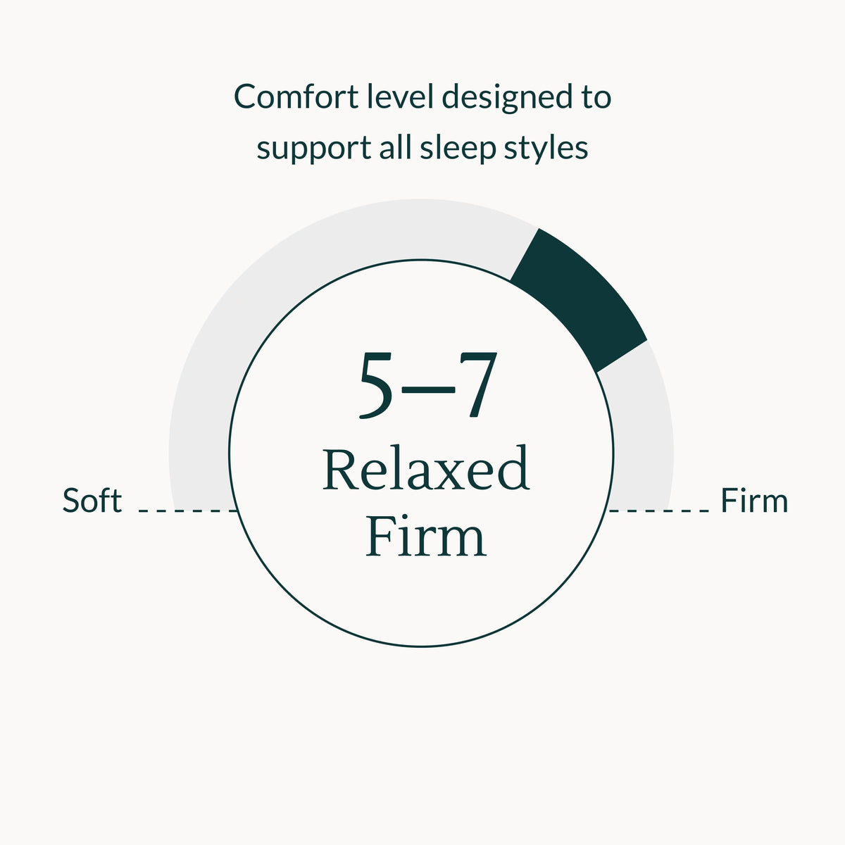Queen Memory Foam Mattress L859