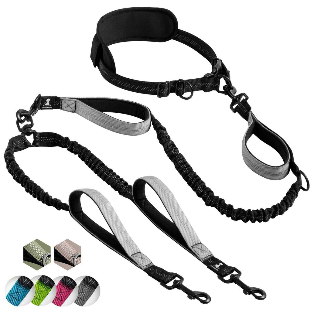 Hands Free Double Dog Leash P2129